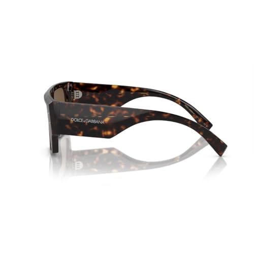 Dolce & Gabbana Sunglasses DG 4459 502/73 Havana Dark Brown2