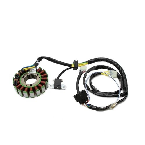 Bobina estator para Polaris Predator 500 en rutas y circuitos 2