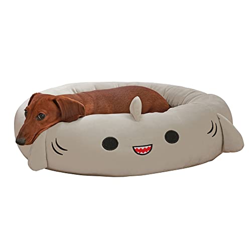 Squishmallows-20-Inch-Gordon-Shark-Pet-Bed-Small-Ultrasoft-Official-Squishmallows-Plush-Pet-Bed