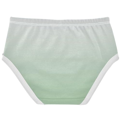 Joisal Magnolia Dark Sea Green Gradient Cute Panties Girl Toddler Girls Underwear Cotton Fun Print Underpants Briefs 2t2