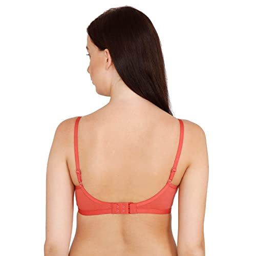 Image of Zivame Women T-Shirt Bra