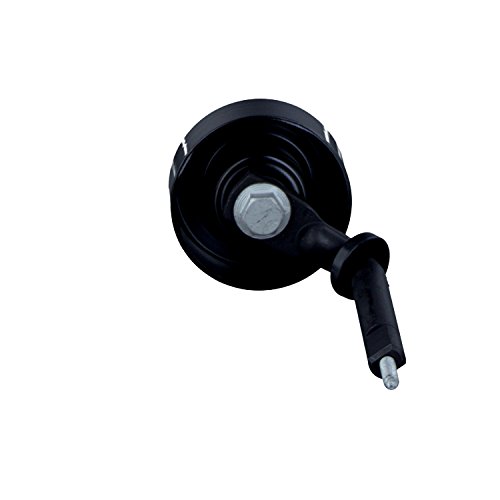 Febi-Bilstein 30114 - Rullo Tenditore, Cinghia