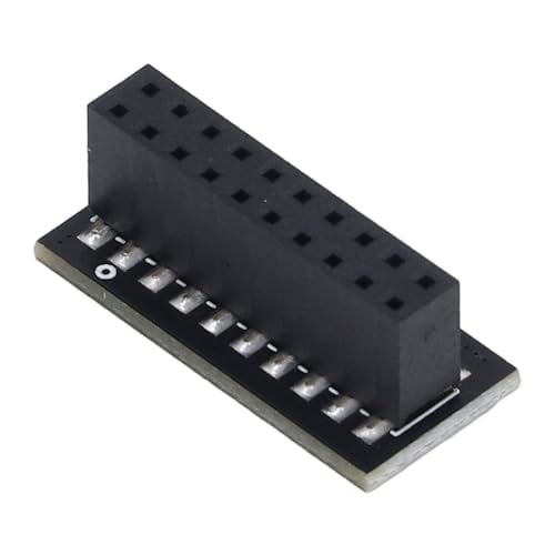 Odorkle Módulo TPM 2,0, Interfaz LPC de 20 Pines, Procesador de Cifrado Seguro para PC, Memoria DDR4, Módulo de Plataforma Confiable de Alta Compatibilidad