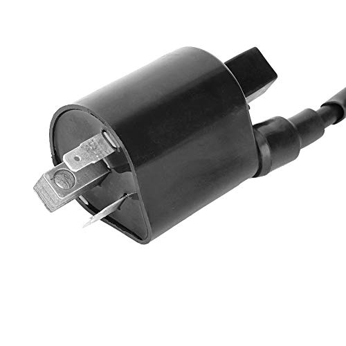 Qiilu 2 bobine di accensione per moto, bobine di