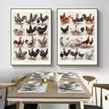 LIMAIDUO Impresión de razas de gallinas y gallos, póster vintage de pollos y aves de corral, arte de pared para cocina, lienzo, pintura, decoración de habitación (20 x 30 cm, sin marco)