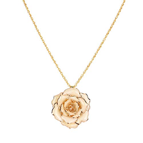 Cadeau de Juillet Wandisyllier doré avec des Bijoux Pendentif Rose Cadeau pour Les Femmes Cover
