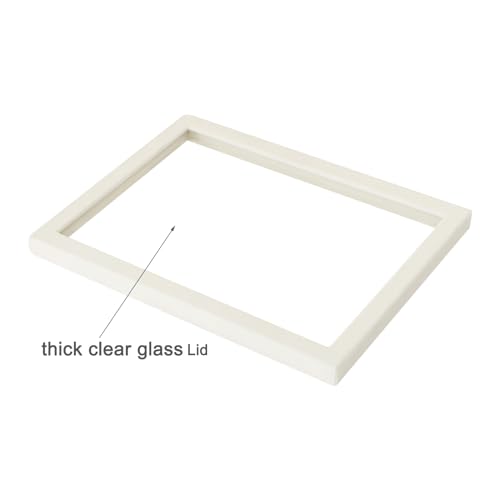 Image of Coward 2Pcs Beige Velvet Glass Lid for the Trays Can Use if Needed