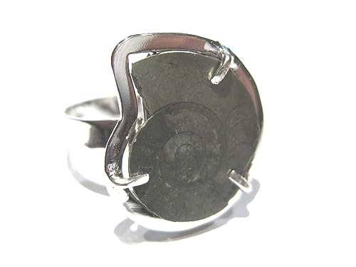 Bague ammonite fossile argent 925 véritable bague ajustable pierre naturelle et bijoux anciens