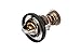 ACDelco GM Original Equipment 131-149 Engine Coolant Thermostat