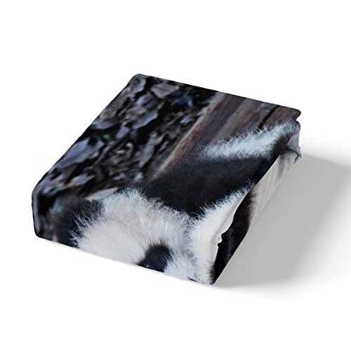 Housse de couette panda simple lavable pour lit d'enfant propre