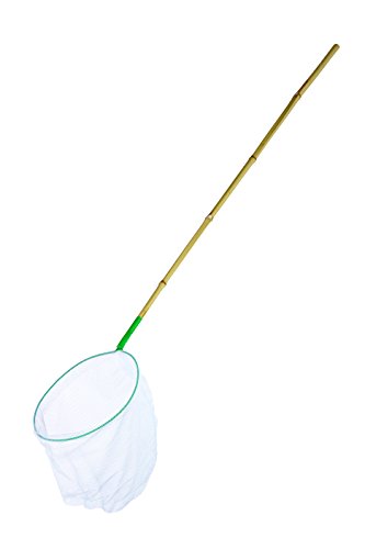 Pontec 40292 Pondonet, Multicolore