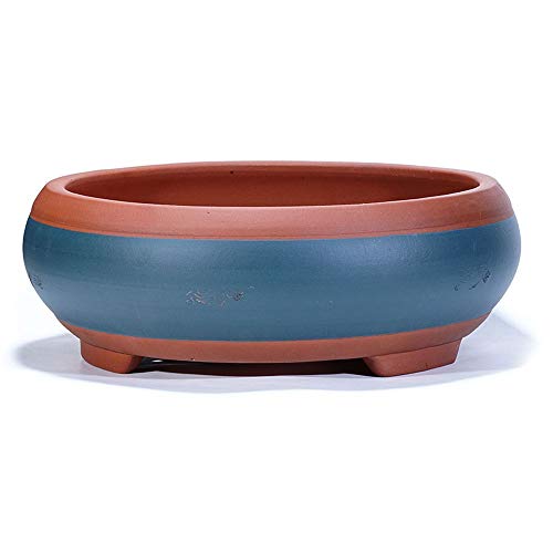 Maceta para bonsái artesanal de cerámica premium con diseño antiguo oval