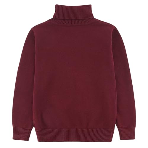 Kids Turtleneck Sweaters Pullover Kids Toddler Long Sleeve Lapel Sweater Cotton Boys and Girls 3-10 Years