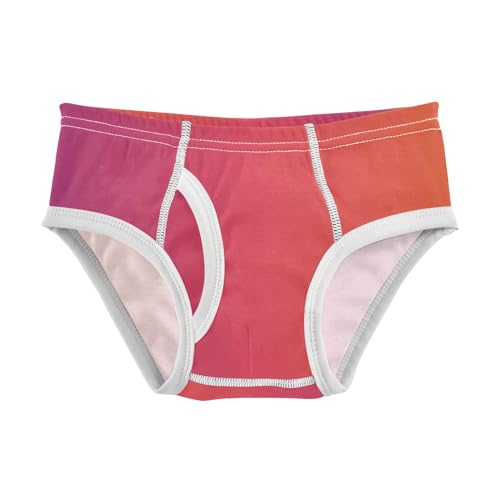 Purple Orange Gradient Boys Cotton Briefs Boys Underwear Sports Briefs 2t Toddler Boys Underwear