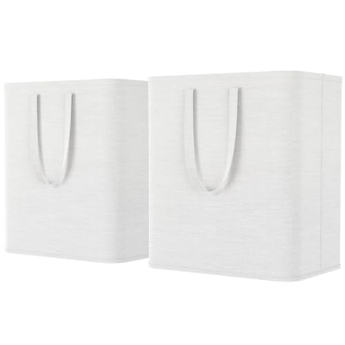 Lifewit 2 botellas de depósito de 60 l, grandes botellas de vidrio, recipiente vacío y almacenamiento, color blanco