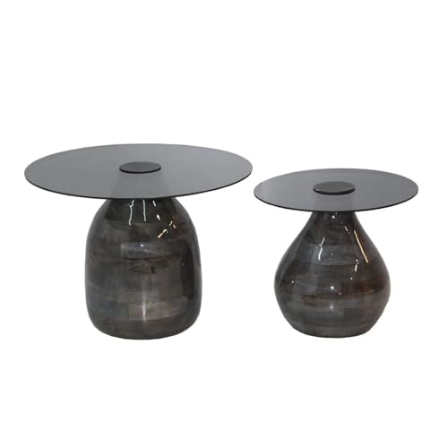 AltoBuy SALIM - Lot de 2 Tables Basse en Verre Fumé Noir Piètement en Manguier Vernis Gloss