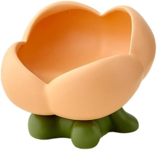 N[ `[bv gC  uEWG[{bNXp k ꂩ킢 ㉻ϑE֎[