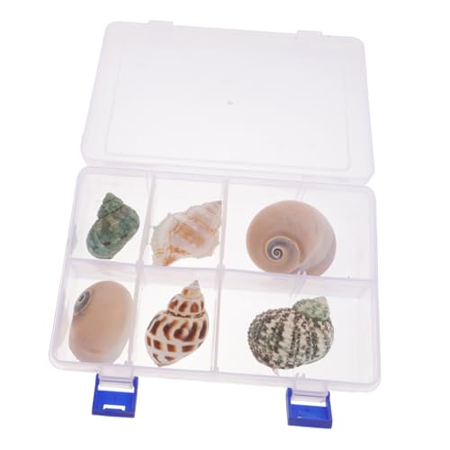 PERSELOSO 6 VRLk pRȊCNtg ^NiσfR[V 炩GbWŃeȒP