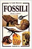 I fossili.