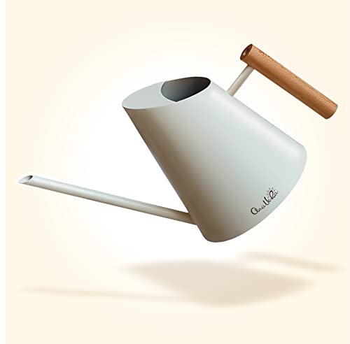 Indoor Small Stainless Watering Can