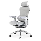 SIHOO Doro C300 オフィスチェア 椅子 デスクチェア 人間工学 テレワーク 疲れない 人体工学椅 メッシュチェア 4段階調整S字背もたれ 自動適応ランバーサポート 4D連動アームレスト 3Dヘッドレスト 約130度リクライニング 耐荷重135KG 事務椅子 通気性に優れ グレー