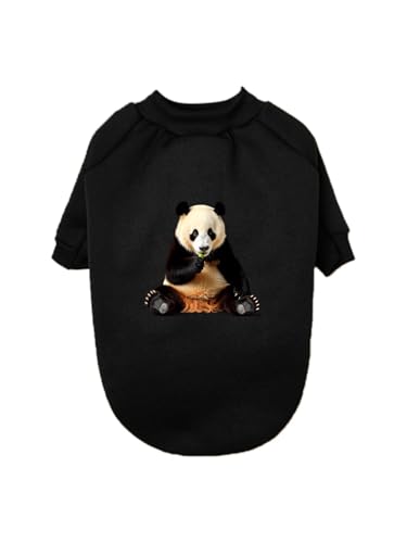  p_ F  ʐ^ ybg hbOEFA ̕ L ybgEFA h _炩 іh~   t@bV U ybgpi