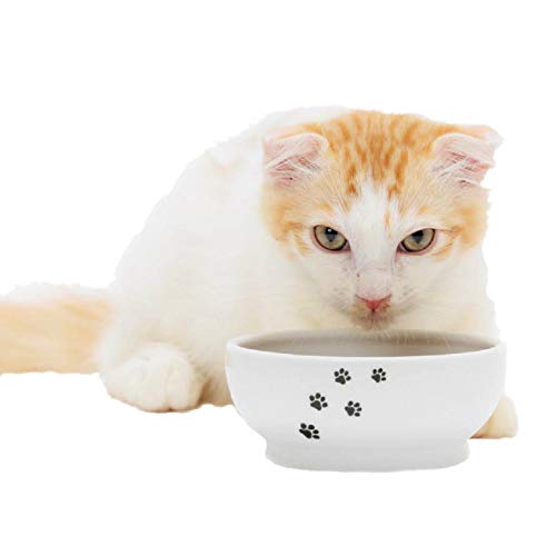 Necoichi Anti-Spill Cat Food Bowl, Effective Double Anti-Spill Smart Lips, FDA and EC/ECC European Standards (Cat-) Necoichi Anti-Spill Cat Food Bowl, Effective Double Anti-Spill Smart Lips, FDA and EC/ECC European Standards (Cat-)
