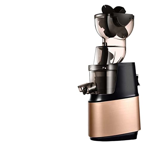 CRBUDY 110 V 220 V 250 W 3.543 in de Gran diámetro Boca Ancha Nutrición de Frutas Exprimidor Lento Herramientas de Frutas y Verduras Exprimidor de Frutas Multifuncional (Color: Dorado fác
