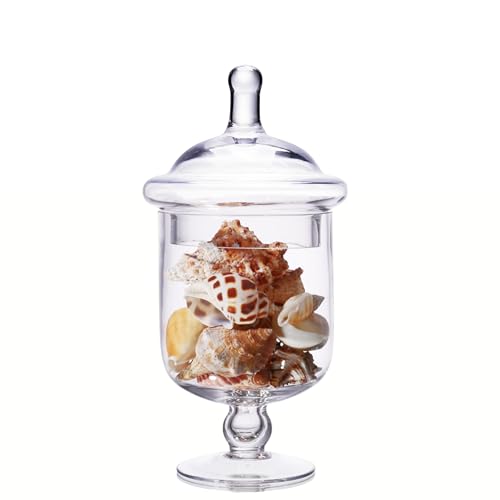 Small Glass Apothecary Jars with Lid Clear Candy Jar with Lid Cute Small Decorative Glass Jars for Wedding Display and Home Decor Glass Canisters (Height: 9 Diameter: 5)