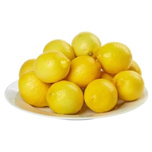Fresh Lemons 1kg