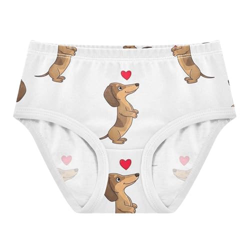 Toddler Underwear Floral 2t Cotton Panties for Girl Funny Underpants Briefs Cute Cartoon Dachshunds Heart White