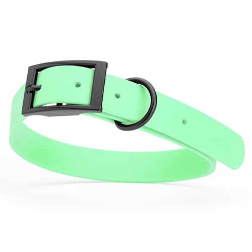 Image of Dogline Biothane Waterproof Dog Collar Strong Coated Nylon Webbing with Black Hardware Odor- Proof for Easy Care Easy to Clean High Performance Fits Small Medium or Large Dogs, Sea Foam Green