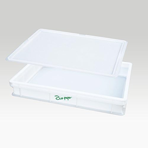 Piza dough box lid