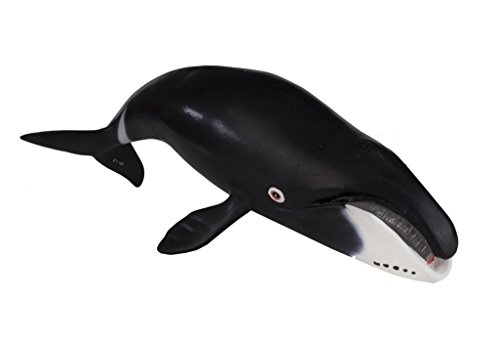Safari S205529 Bowhead Whale #TOP3