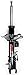 FCS 331644L Suspension Strut