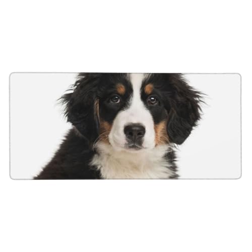 Tapis de souris Bouvier Bernois antidérapant pour protéger votre bureau