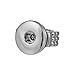 Ginger Snaps Stretch Snap Ring
