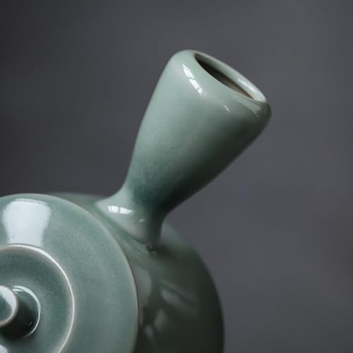 Tetera japonesa de cerámica en porcelana fina para amantes del té 5