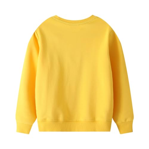 Boys Sweatshirts Long Sleeve Sweatshirts T-shirts Crew Neck Cotton Casual Sweatshirts Cartoon Tops for Boys-1903