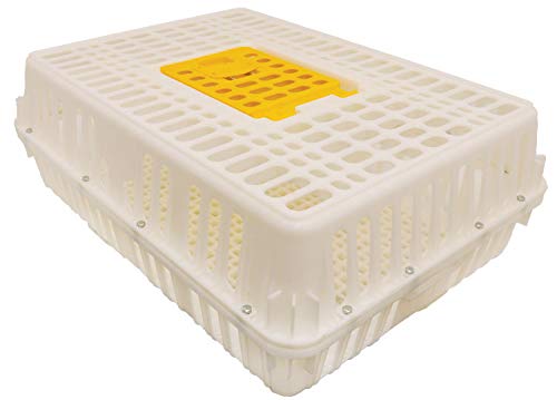 Strombergs Poultry Transport Crate Secure Chicken Carrier for Safe Bird Travel and Storage Ventilated Outdoor Plastic Cage with Hinged Loading Door for 4 to 6 Backyard Chickens or 2-4 Pheasants