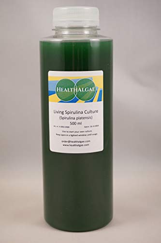 HealthAlgae Spirulina platensis Living Culture (500 ml) - Live Algae - Start Culture - Grow Spirulina at Home, Swedish Grown, with Spirulina Grow Manual, Kombucha (500 ml)