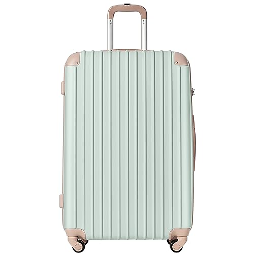 X[cP[X L[obO L[P[X y TSAbN @ É 360x] t@Xi[ CO s rWlX o STCYF1`3/41.1L (green)