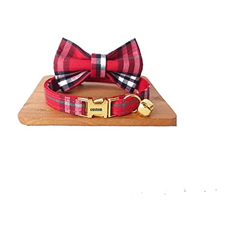 Collar de Gato Personalizado TinFrey Cover