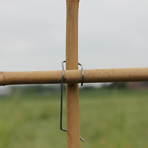 Velto Bambusklammern Tonkinklammern 100 Stück zum Bambusgitter Rankgerüst...