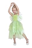 Girls Princess Tinkerbell Long Dress Halloween Cosplay Costume