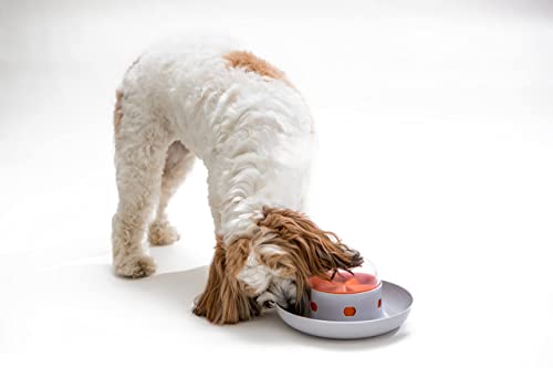 The Ufo Interactive Push Button Food Treat Dispenser Bowl For Dogs And Puppy For Fun Slow Feeding Feeder #TOP6