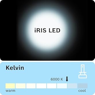 Bosch iRIS H4 LED Headlight Bulbs F002H52010FT9 for Passenger Cars, Set of 2 Plug & Play LED Lights with Long-lasting, Ultra-bright, White Light