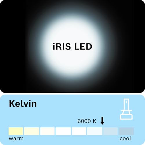 Bosch iRIS H4 LED Headlight Bulbs F002H52010FT9 for Passenger Cars, Set of 2 Plug & Play LED Lights with Long-lasting, Ultra-bright, White Light