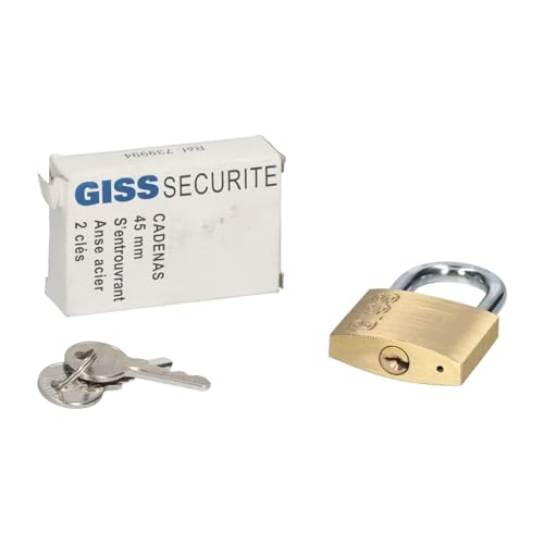 Giss 739994 Lock with keys New NFP