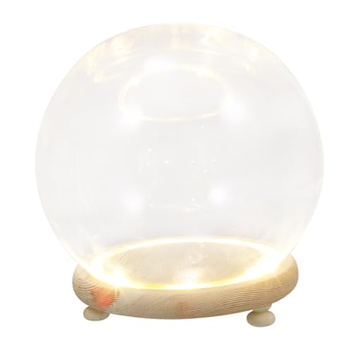 Cabilock 1 Set Micro Landscape Ornament Food Container Flower Decorations Led Fairy Light Dome Halloween Decorations Desk Topper Container for Food Mini Decor with Cover Glass Display Cover